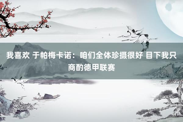 我喜欢 于帕梅卡诺：咱们全体珍摄很好 目下我只商酌德甲联赛