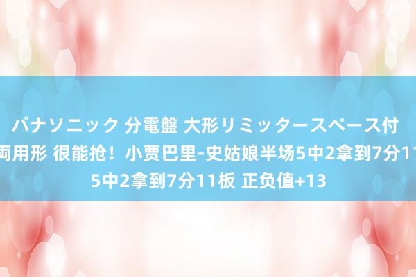 パナソニック 分電盤 大形リミッタースペース付 露出・半埋込両用形 很能抢！小贾巴里-史姑娘半场5中2拿到7分11板 正负值+13